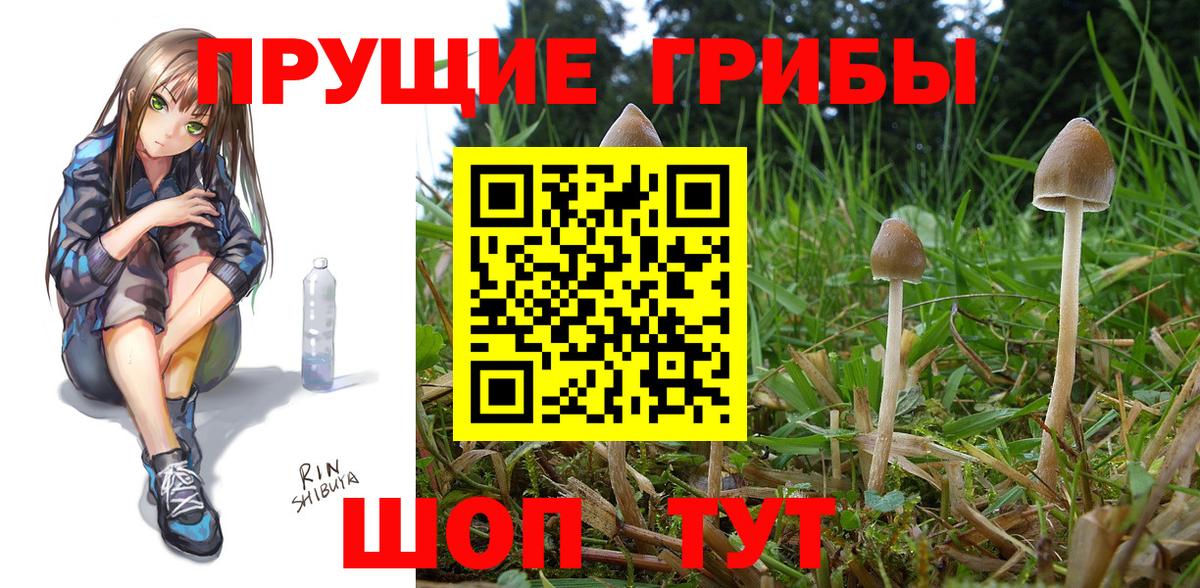 Губкинский  как найти закладки  Вход с VPN  Галлюциногенные грибы мухоморы 